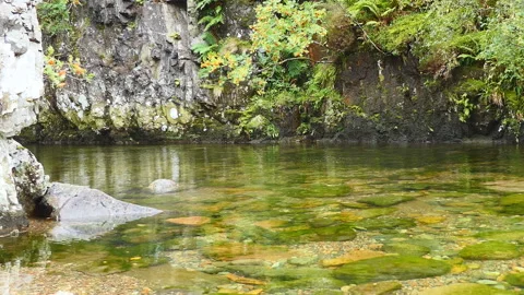 A clear river in the mountains in Britain. Stock Footage 112680878