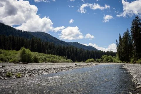 Clear river with pebble shore surrounded by dense forest and mountains Stock Photos