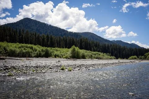 Clear river with pebble shore surrounded by dense forest and mountains Stock Photos