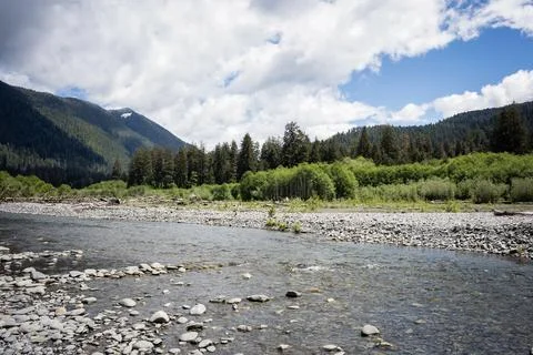 Clear river with pebble shore surrounded by dense forest and mountains Stock Photos