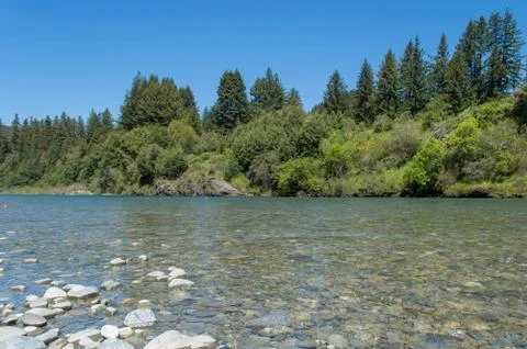 Clear river 写真素材