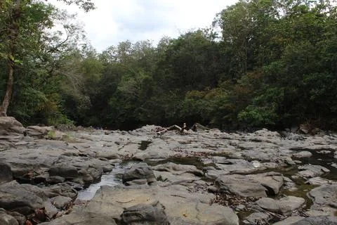 Clear River Stock Photos