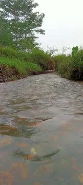 Clear river Stock-Fotos