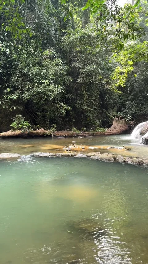 Clear River Pool and Waterfall Flowing, Lush Tropical Forest, Panning Vertical 스톡 동영상 324272414
