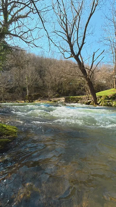 Clear river rushes over rocks beneath bare trees. Balkan, Eastern Europe, POV Video stock 333634397