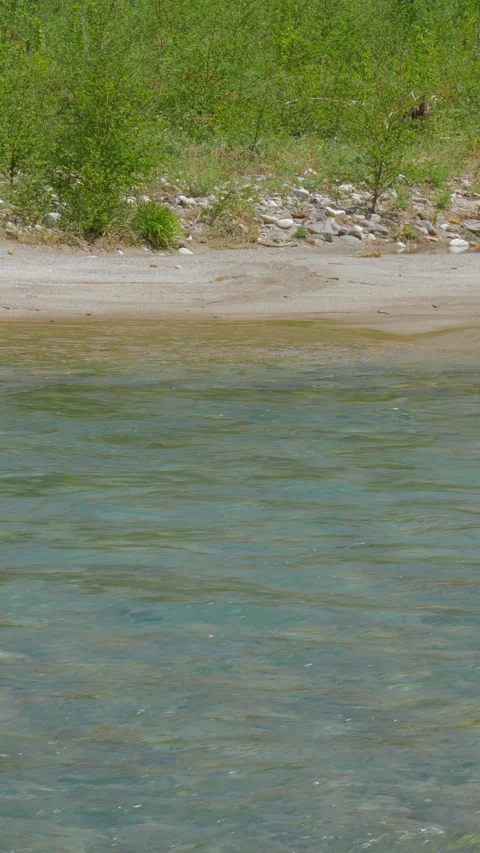 Clear River by Sandy Shore and Fresh Green Vertical Video Video stock 346001516