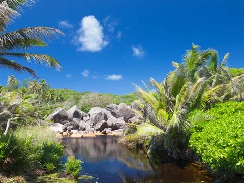 Clear river in the seychelles Stock Photos