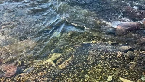 Clear river shines in sun as it flows over rocks and pebbles Stock Footage 273176581
