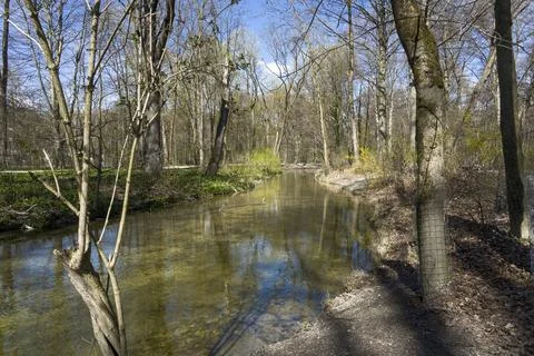 A clear river snakes along a forest trail under a blue sky, Munich, Germany Stock Photos