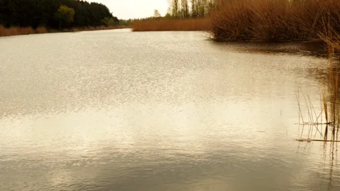 Clear river spring sunny day Stock Footage 128911436