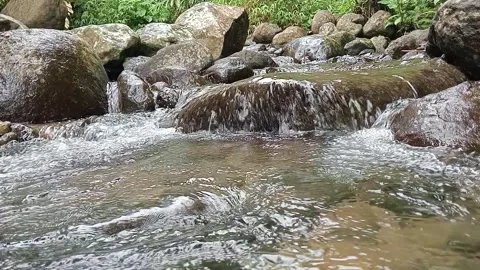 Clear River Stream Flow Over Stones Forest Nature Close Up Stock Footage 330582840