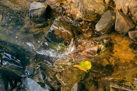 Clear river stream flowing between the rocks. Stock Photos