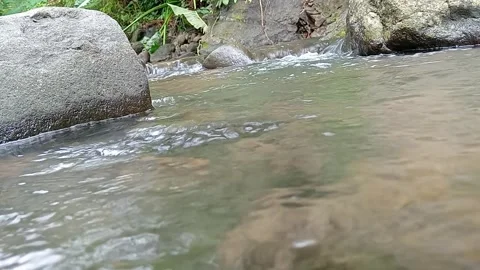 Clear River Stream Flowing Gently in Natural Landscape Stock Footage 329818544
