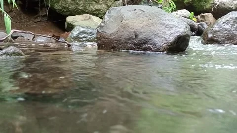 Clear River Stream Flowing Gently Over Rocks in Nature Stock Footage 330516491