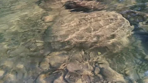 Clear river stream flowing over rocks under sunlight Stock Footage 345569151