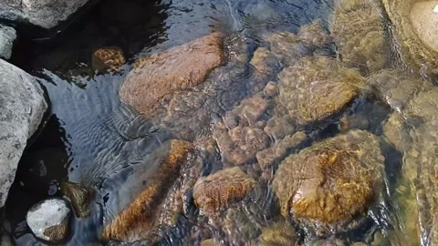 Clear river stream flowing smoothly over natural stones and rocks Video stock 344087600