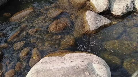 Clear river stream flowing smoothly through large natural boulders and rocky Stock Footage 344087614