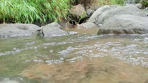 Clear River Stream Flowing Through Rocks Stock Footage 329892887