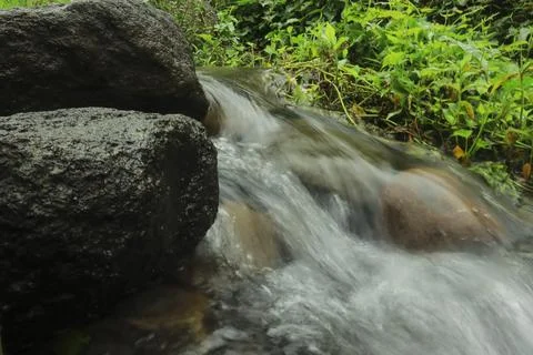Clear River Stream Flowing Through Lush Green Vegetation Stock Photos