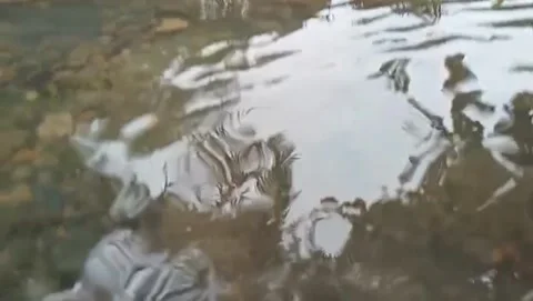 The clear river surface reflects the light. Видео 329952485