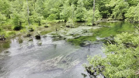 Clear River with Underwater Grass Stock Footage 331239119