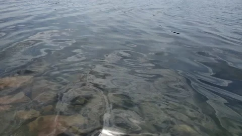 Clear river water from artificial Video stock 156201069