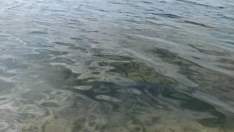 Clear river water from artificial lake Video stock 156201082