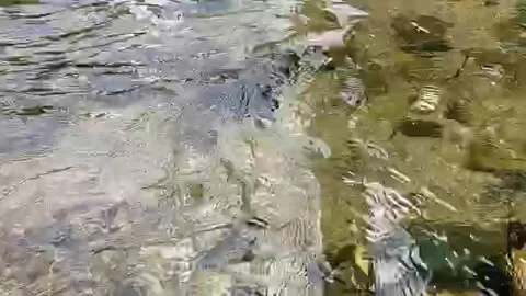 Clear river water that can see rocks beneath it Stock Footage 137998923