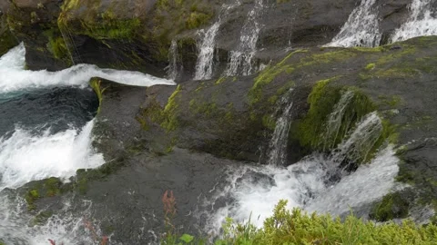 Clear River Water Cascading Over Mossy Black Volcanic Rocks in Iceland Stock Footage 339966984