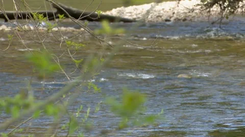 Clear River Water Flowing Beneath Historic Stone Bridge in Natural Landscape Stock Footage 330338212