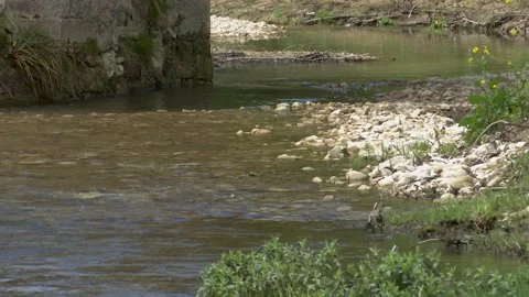 Clear River Water Flowing Beneath Historic Stone Bridge in Natural Landscape 스톡 동영상 330338215