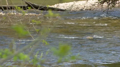 Clear River Water Flowing Beneath Historic Stone Bridge in Natural Landscape Видео 330338216