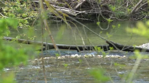 Clear River Water Flowing Beneath Historic Stone Bridge in Natural Landscape Видео 330338228