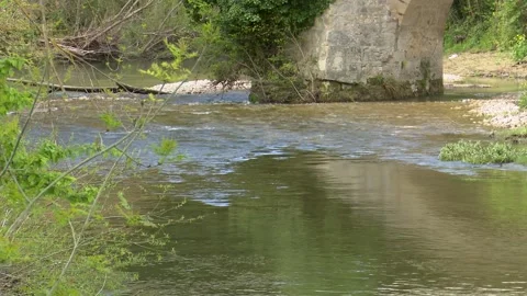 Clear River Water Flowing Beneath Historic Stone Bridge in Natural Landscape Vídeo Stock 330338335
