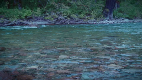 Clear River Water Flowing in Lush Forest | Tranquil Nature Scene 4K Stock Footage 312084729
