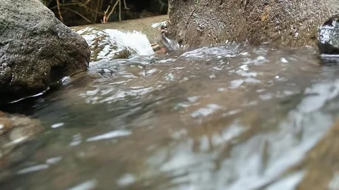 Clear River Water Flowing Over Stones in Natural Forest Stock Footage 329883505