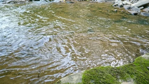 Clear River Water Flowing Over Shallow Bed Video stock 330936071