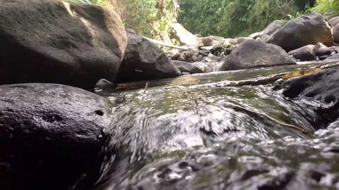 Clear river water flowing over rock In tropical forest stream Stock Footage 341593672