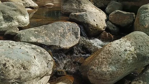 Clear river water flowing over smooth boulders in a natural stream 库存影片 342964861