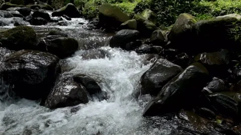 Clear river water flowing through rocks Stock Footage 297634847