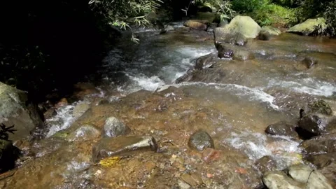 Clear river water flowing through rocks Stock-Footage 297634849