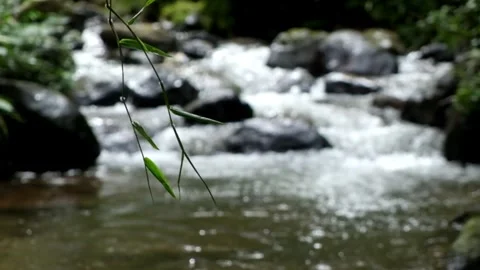Clear river water flowing through rocks Video stock 297634971