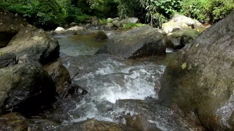 Clear river water flowing through rocks Stock Footage 297634976