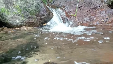 Clear River Water Flowing Through Rocky Jungle Stream Stock Footage 330591960