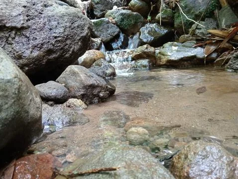 Clear River Water Flowing Through Rocky Forest Stream Stock Photos