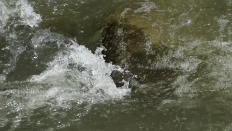 The clear river water flows over the rocks Stock-Footage 287295811