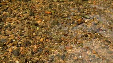 Clear river water flows slowly with colorful rocks Stock Footage 274332969
