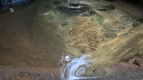 Clear river water pool in tropical rain forest Stock Footage 319800324