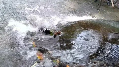 Clear river water rushing. Stock Footage 151601508