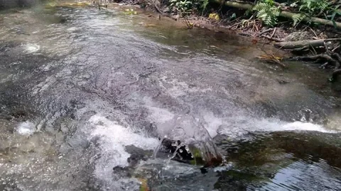 Clear river water rushing. Video stock 151603000